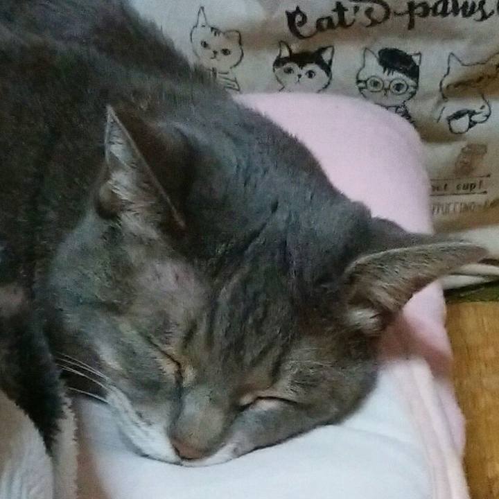 9a2e8014 e5af 496f 8003 8052588a614b 1541683876069