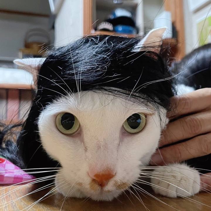 9a2e95a8 8b33 494b 8879 062b75bffeb4 1690729613843