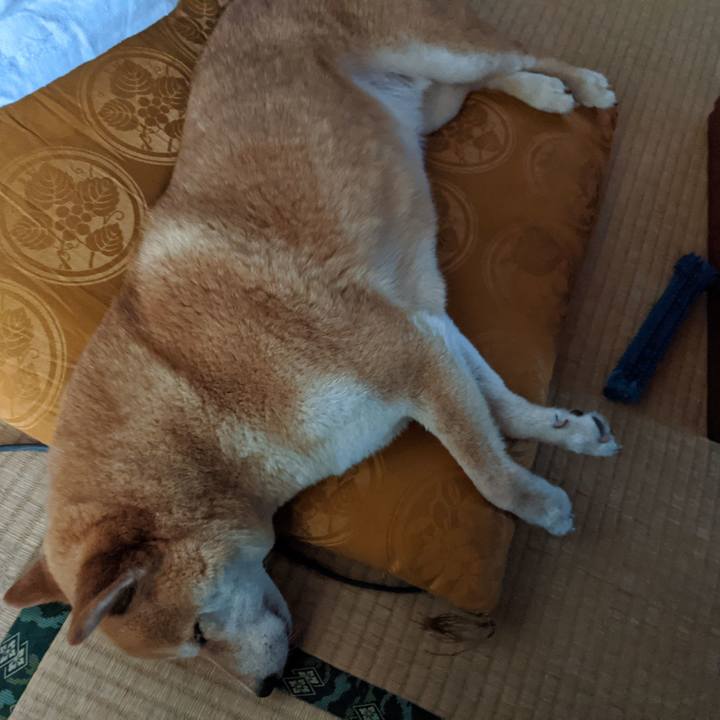 9a2eacee f5dd 4f35 8d64 eb6d0bccf789 1597470689775