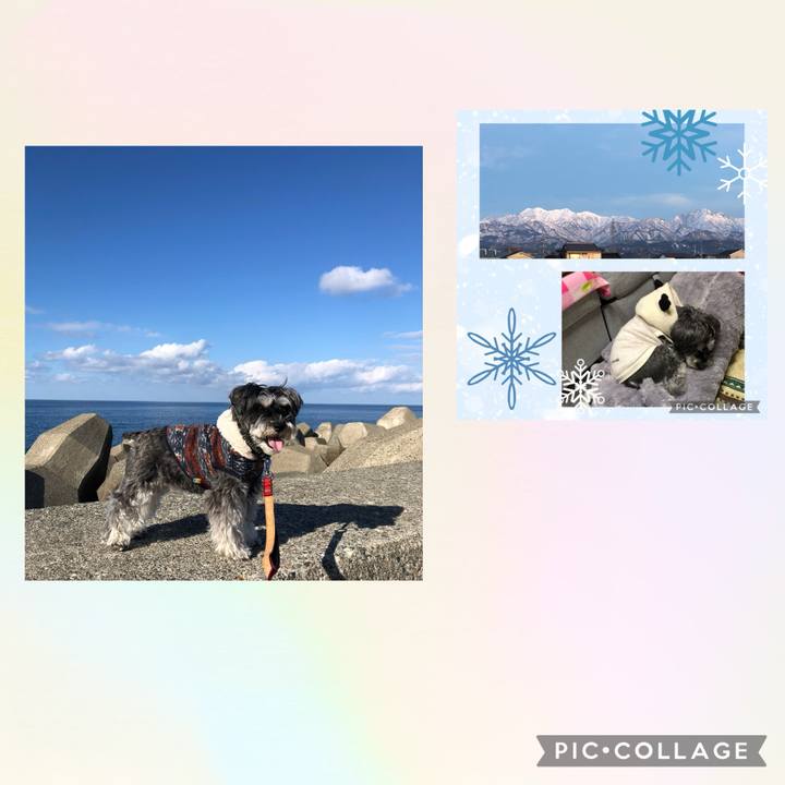 9a2eaef5 fc14 4562 9e7e 3f28cee9a5ce 1731133250309