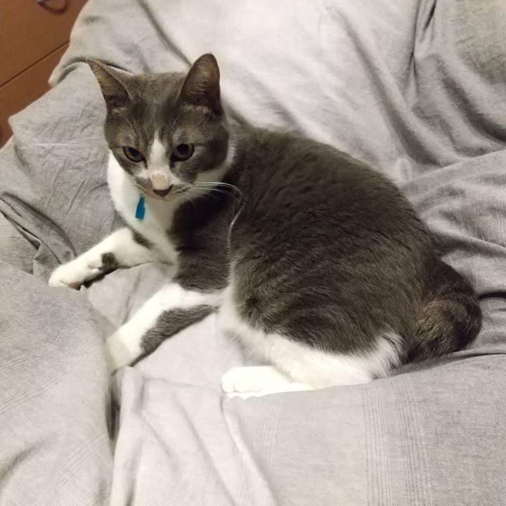 9a2f0afb 1648 4844 98e4 c1abf306133e 1636669916365