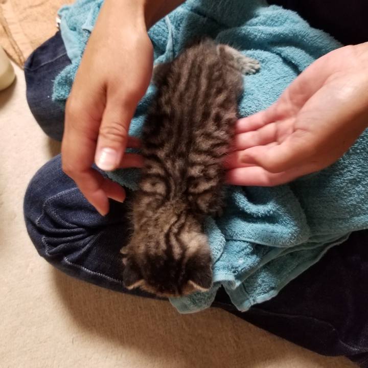 9a2f1a17 c798 4979 a116 bd8b04857da7 1659565599077