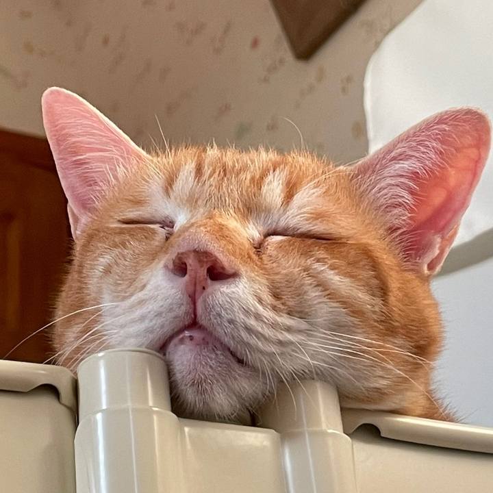 9a2f7481 4eb4 4d59 96c9 9070766b03c5 1645945293613