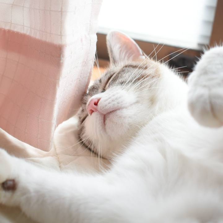 9a2fd588 b04e 4329 bdad bd7c45f8b33b 1531021144690