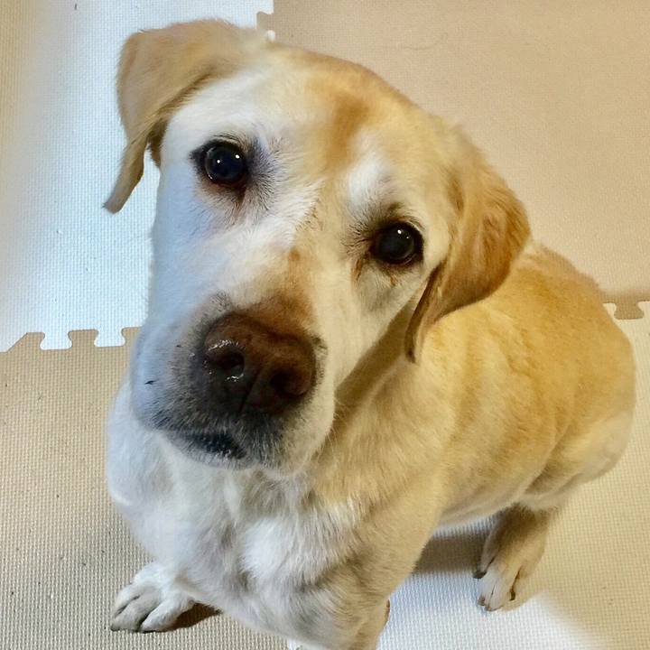 9a2fd670 c598 4094 993d cb0d59d17a1d 1675771456899