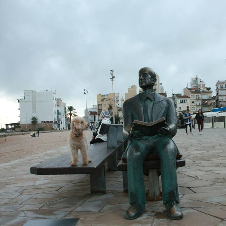 9a301994 d78e 488a bf25 ac450006d74c 1541976914391