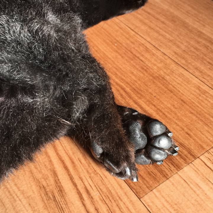 9a3028e0 07f2 4830 82d8 05fcec7626c1 1514501070630