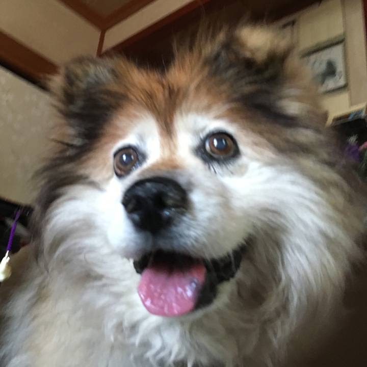 9a3031aa 4aaa 47a0 a33b 3e657bc9e19a 1592260809362