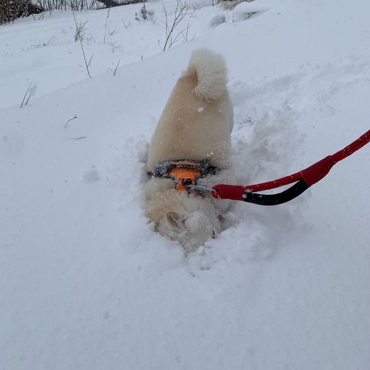 9a3037e2 29d4 4b51 bcf7 f39722961386 1669852746260