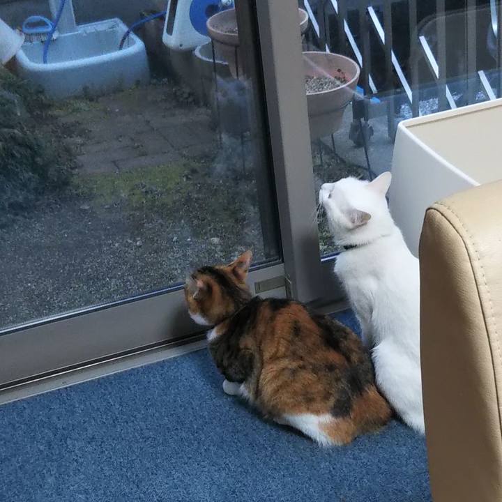 9a3049d9 5606 4158 9686 cef31b305fb4 1645396614123