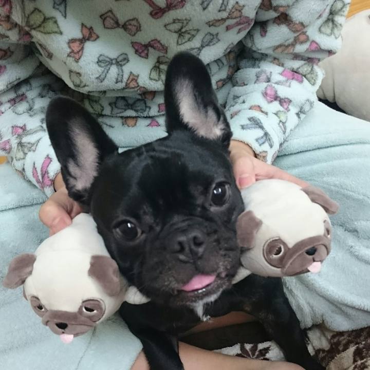 9a30b454 e7e9 443e 8cf4 34d53338c891 1514211023613