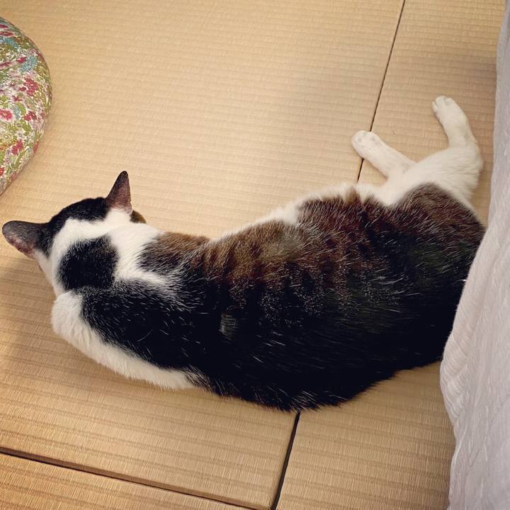 9a30d1e0 e279 41c2 bd58 9b3b8797618b 1596354732613