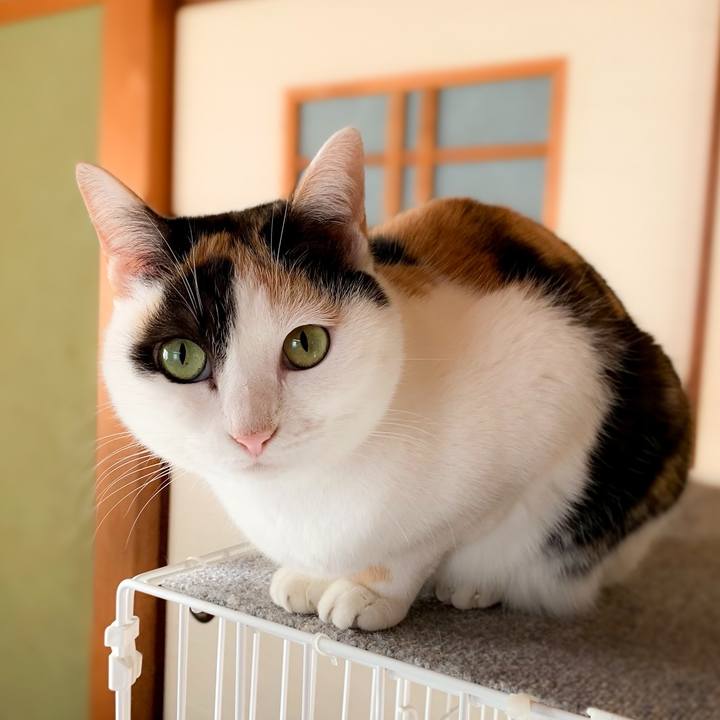 9a30d216 e723 4c02 be45 8bb7c0ebd02e 1582854932831