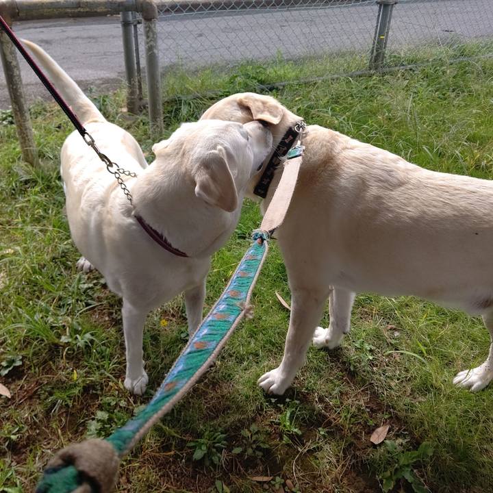 9a30d60f 59c6 42df a96f b38c8ab15e4f 1665972639788