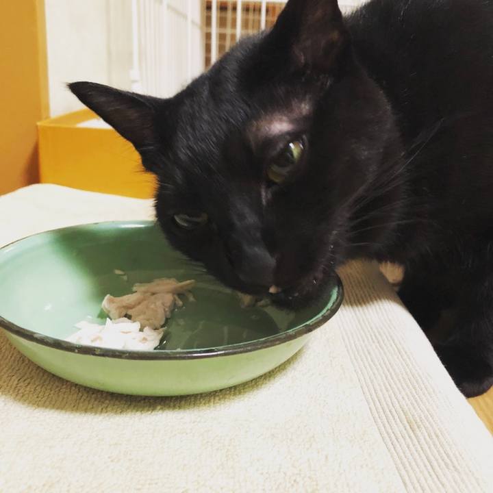 9a318b73 587c 465e 8cbd 035fd4629caf 1540213511323