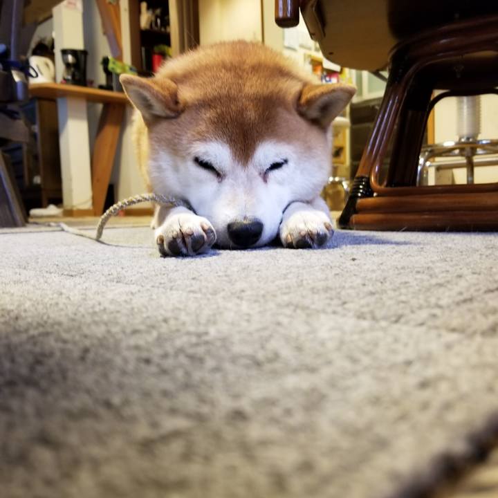 9a319bc7 b92f 4651 9b87 f0858af473e8 1578609377873