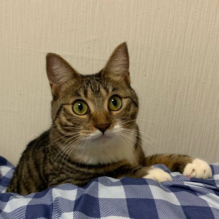 9a31c135 58c7 45f8 9c30 812631c24080 1544577828487