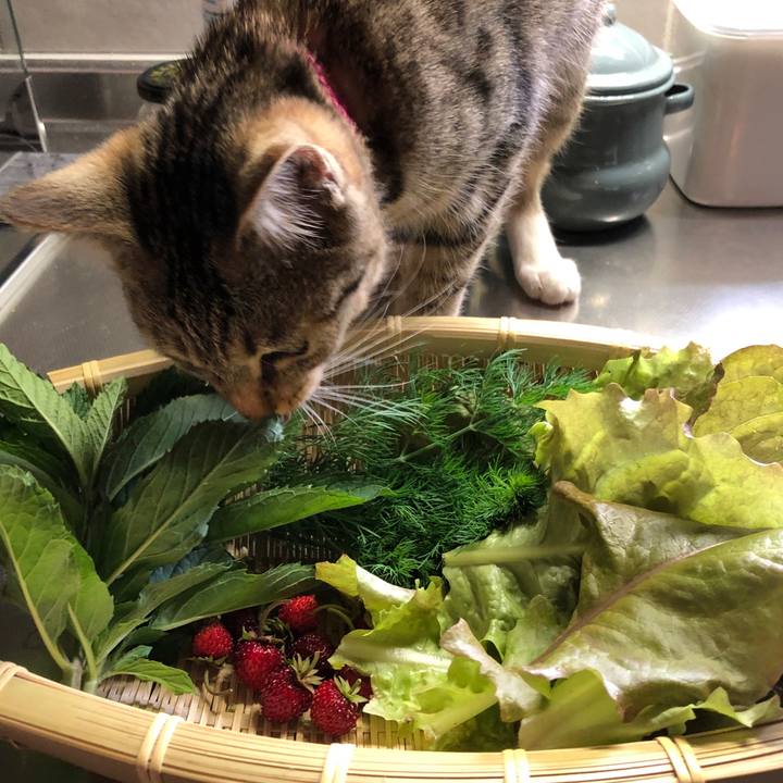 9a31c1c0 66b2 4165 add3 d61287ff56b8 1556778914167