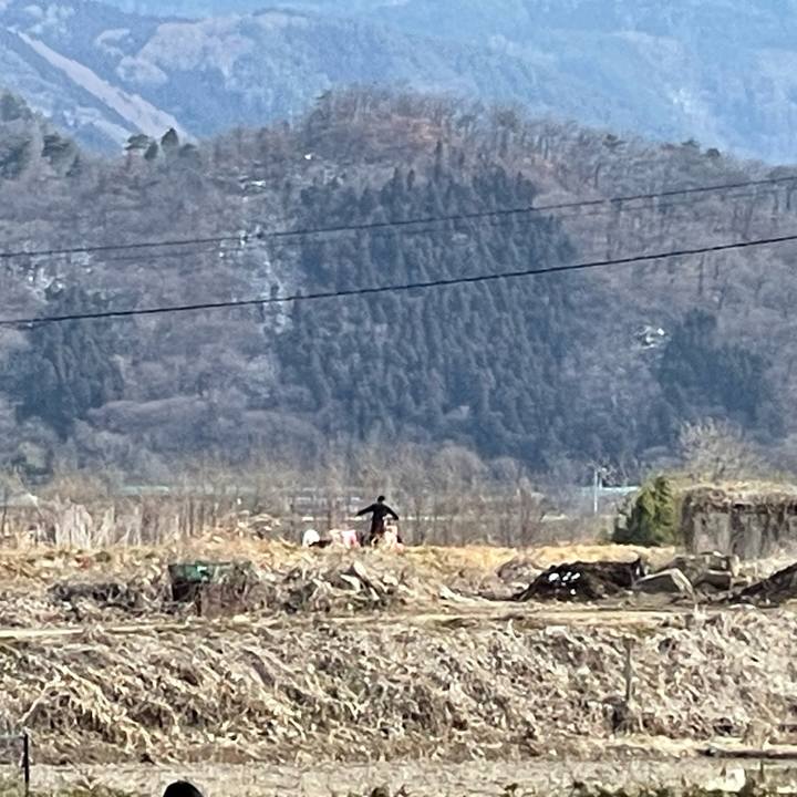 9a31f5ea e944 4de9 872e 66293d851775 1739709523174