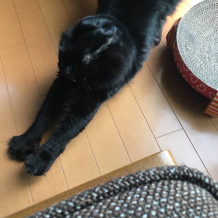 9a320022 d56e 460c 9909 778261b0342d 1527923968859