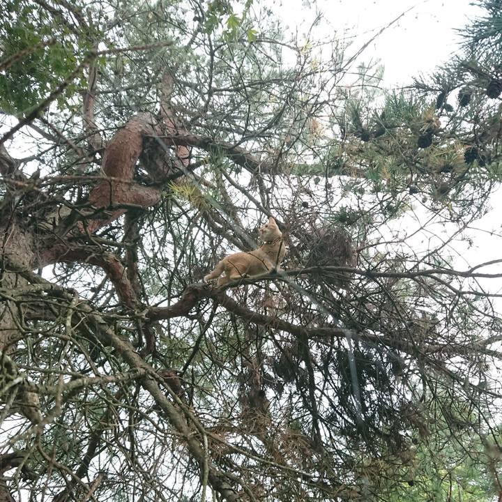 9a3208f3 c325 47f2 84ed adaa04ff4fbc 1635122206522