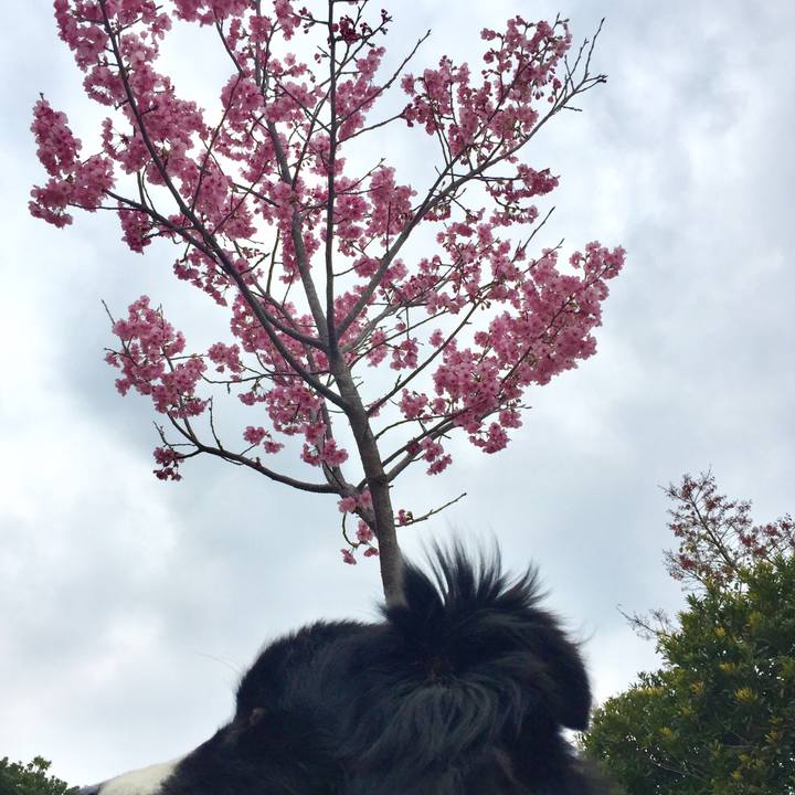 9a322bac 54fc 4eb2 bb53 3ea6ee6eb1d0 1553216450746