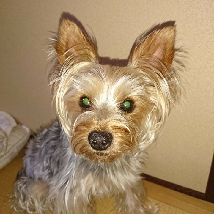 9a32421d 4bd1 4241 a71e 7d0dfcc125bf 1530866761619