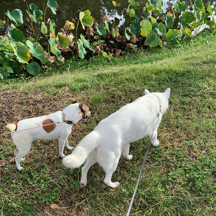 9a32913c da56 4d60 ae2e deff6951a742 1571015349801