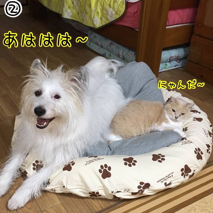 9a3299d1 9c13 402f 878a d09009ca0837 1511152979194