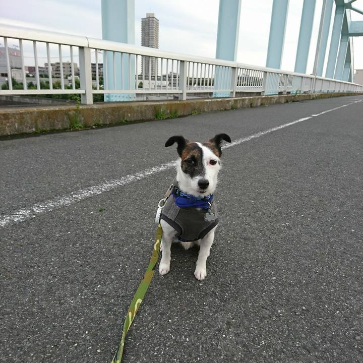 9a32c42f f5db 4502 adf7 4dece1be241c 1508797171370