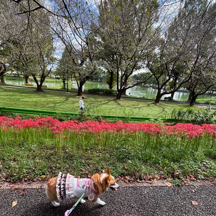 9a32d60c 25a6 4c4f a761 32c2e1c87e77 1759637617481