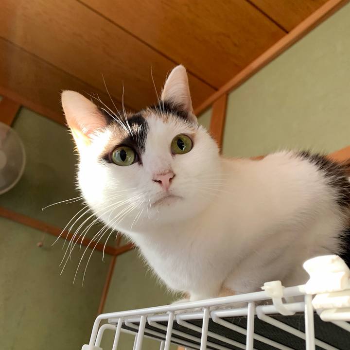 9a32dea3 7c3b 46b3 a223 adc370823f05 1545955740228