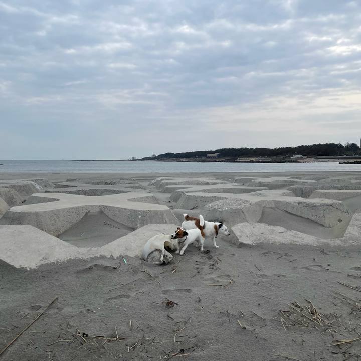 9a32eb19 f42e 4ee6 b272 18868b68eda0 1744935021577