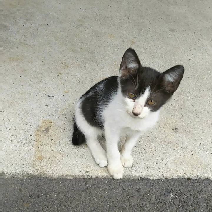 9a32fb0a 08a4 4d4d be35 17edb5dbb9ad 1530362442128