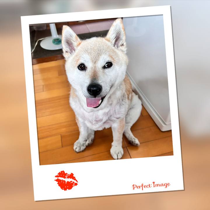 9a330e66 087c 4d4c b40e 99315ec67c8c 1747952098240