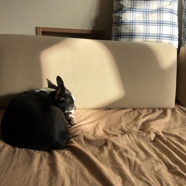 9a33124d bbac 4b85 8b1a a183c3eb1711 1674087119933