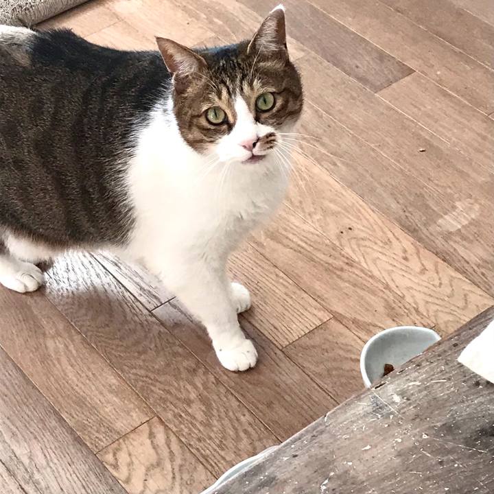 9a333076 b373 4272 9311 943157360557 1614215942369