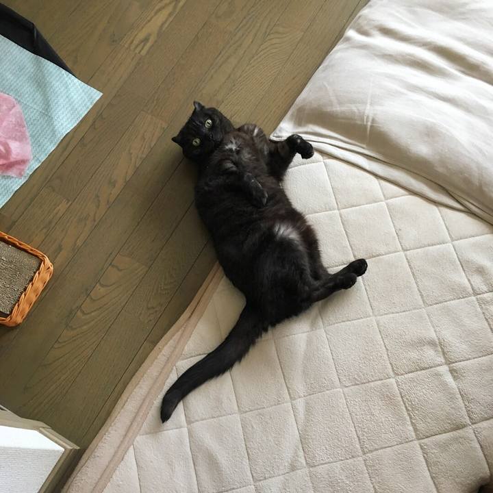 9a33573c b390 4932 8bcd b9f70e2f3d56 1528512272085