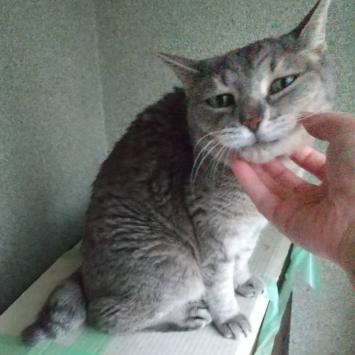 9a335a1b 44f9 4115 9be1 aa2bbde749a3 1694128057726