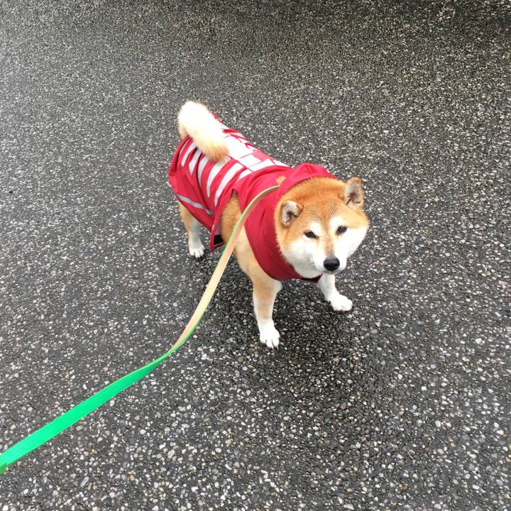 9a33d8a8 1c56 4010 a85e 5b95da7958f7 1602305381349