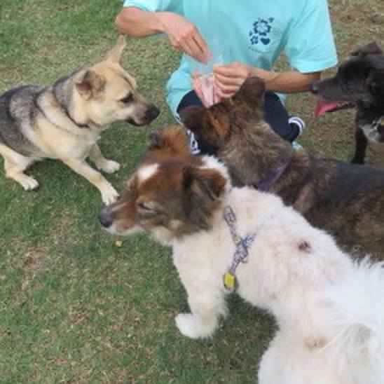 9a340f42 68ad 47da ad89 45e552852de6 1588425333712