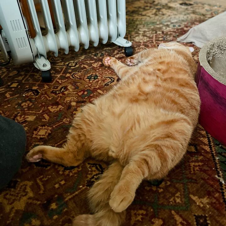 9a3412ec 7510 401a 8e65 3dce25451649 1669779057649