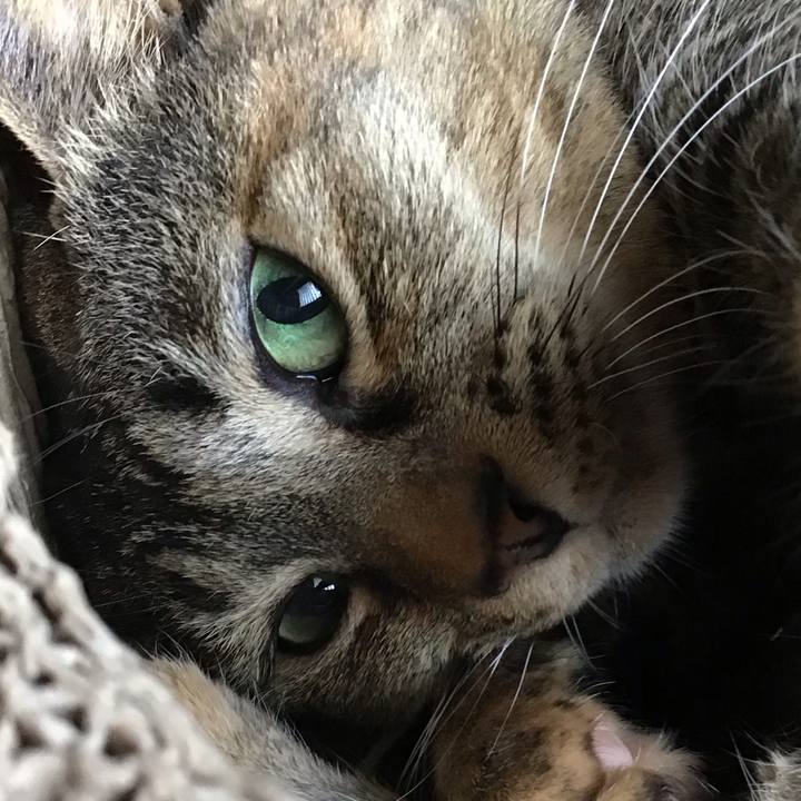 9a34277a 0248 4c2e b319 9e315e8eaaae 1745048730419