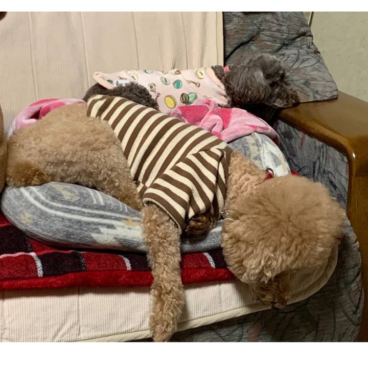 9a3441f6 cc57 476f 8f6f 86318549121f 1604308995376