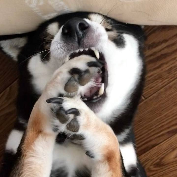 9a347c12 c807 4008 92b2 d1680b6d4393 1539146059622