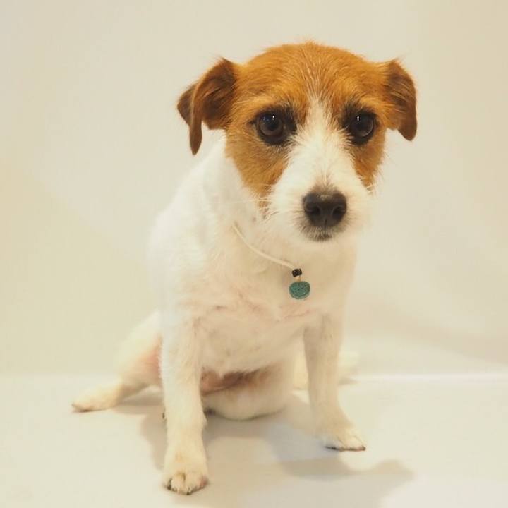 9a347fbc 11f1 463e b4fd f093ce695a11 1571720184677