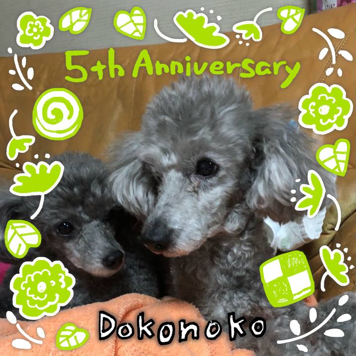 9a34adfe 6f6f 4ce0 99f8 bc61958165c1 1623120875756