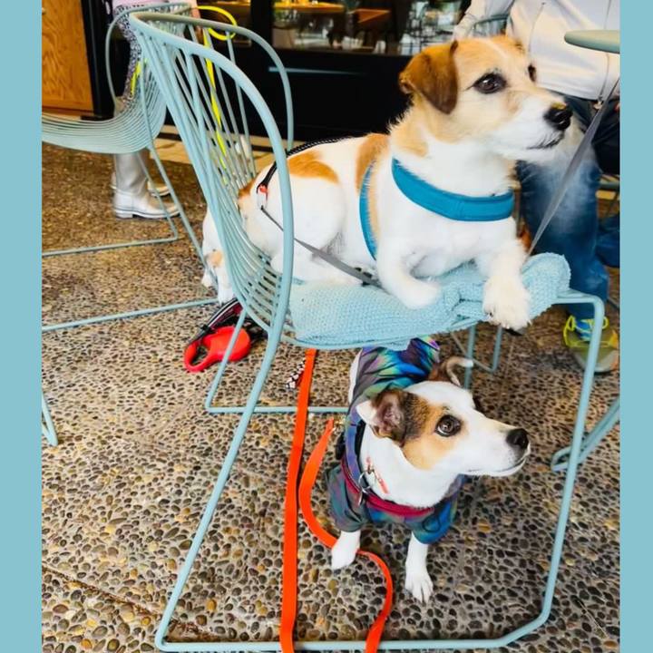 9a34b604 6c5c 4718 9acd e69474b728cf 1687347039020