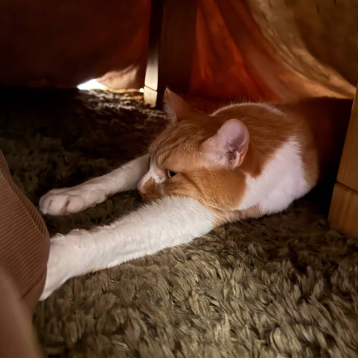 9a34beaf b4b2 496f b254 859968b940b9 1763816928043