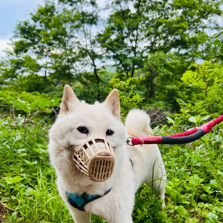 9a34c2e9 0b6f 4941 97a0 d9f121eef3fa 1752182191443